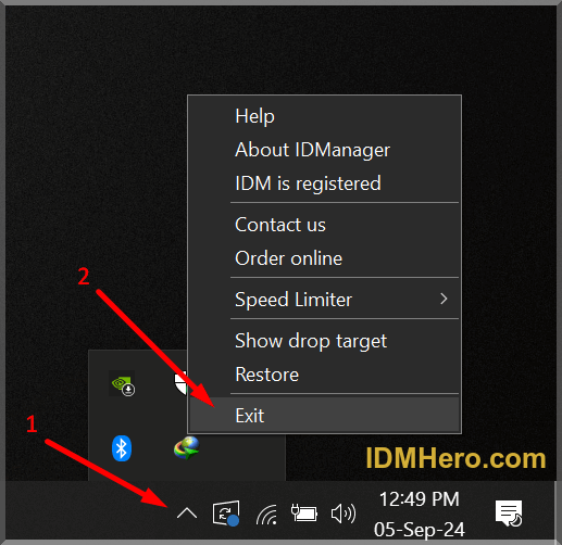 Exit IDM from System Tray